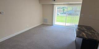 Northgate Gallery 122