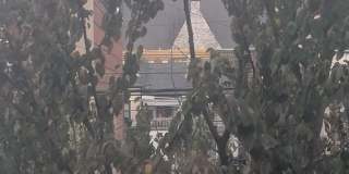 1BR Gallery 20