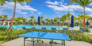 12524 Nautilus Circle Gallery 68