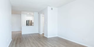 Del Mar Ridge Gallery 6