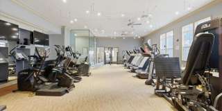 22691 BLUE ELDER Terrace unit: 101 Gallery 17