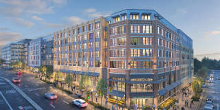 The Alder Gallery 34