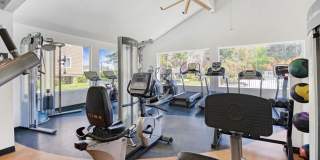Serramonte Ridge Gallery 15