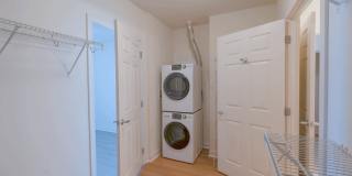 The Veridian Gallery 25