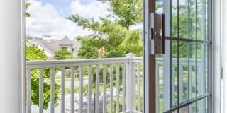 Avalon Russett Gallery 3