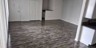 Premier Apartments LLC Gallery 4