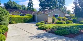 Updated Single-Level Los Altos Home with Spacious Backyard Gallery 1