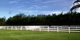 2583 Appaloosa Trail Gallery 25