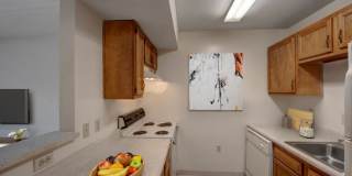 Mallside Forest Gallery 6