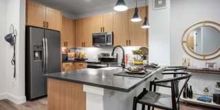 Troubadour Gallery 3