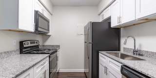 Canter Chase Gallery 18