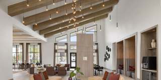 Ilumina Zephyrhills Gallery 17