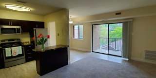 Northgate Gallery 45