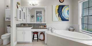 12845 SATIN LILY DRIVE Gallery 35