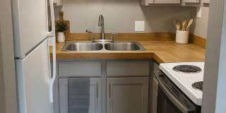 Orchid Flats Gallery 1