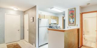 FRISCO ! Furnished! 1 pet negotiable!  An Artist's retreat! Must see. Gallery 5
