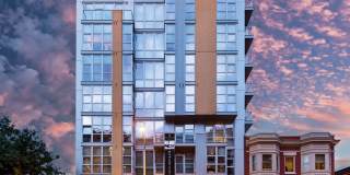 Elysium Fourteen Gallery 1