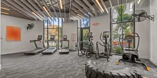 Leksa at Cityplace Gallery 36