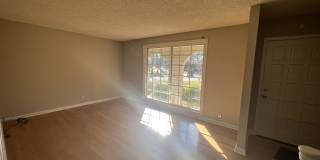 2900 Moss Spring Drive Gallery 2