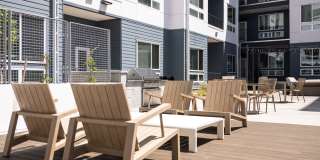 RYE Central Park Gallery 11