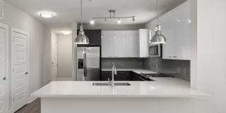 Cadence Music Factory Gallery 37