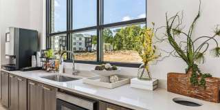 Accent Suwanee Creek Gallery 9