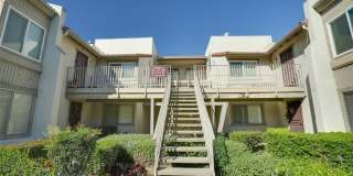 833 Cinnamon Gallery 1