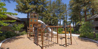 Old Orchard Apartments Gallery 29