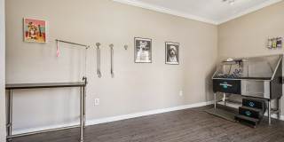 Spring Pointe Apartments Gallery 30