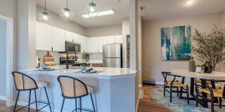 The Enclave at Tranquility Lake Apartments Gallery 6