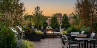 Alder at Allston Yards Gallery 52
