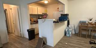 University Park Gallery 298