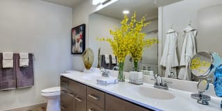 The Curve at Melrose Gallery 17