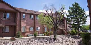 Pines at Prescott Gallery 4