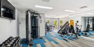 Chapel View Gallery 12