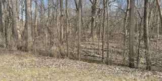 3005 Fernwood Avenue Gallery 25