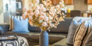 40834 Adriatico Ct Gallery 8