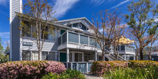 The Highlands Gallery 36