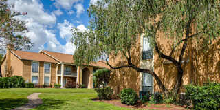 Royal Palms Gallery 9