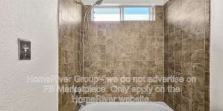 14211 Yellow Warbler Gallery 10