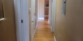 Massive Luxury Apt in Packards Corner Near BU!  Central AC & Heat, XL Rooms! Gallery 12