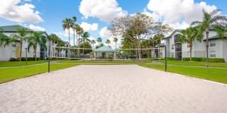 Palm Trace Landings Gallery 5