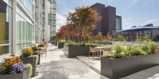 Watermark Kendall East Gallery 23