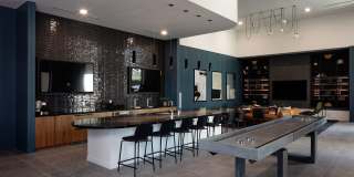 The Launch Gallery 15