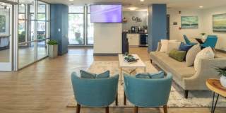 The Falls at Arden Gallery 23