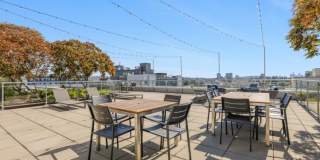 Eleanor Eleanor Gallery 3