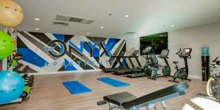 The Onyx Gallery 3