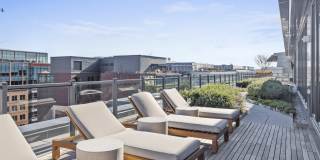 Coda on Half Gallery 20