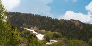 725 E Main Street unit: #305 Gallery 9