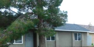 8260 Viburnum Gallery 1
